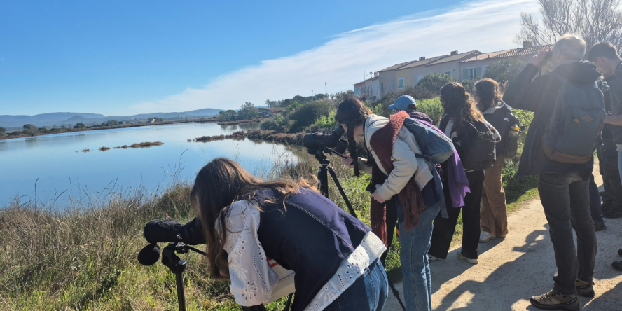 Observation d'oiseaux © Coralie Finck
